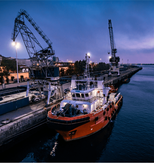 Management Reporting